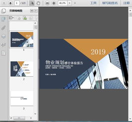 2019精品公寓項目物業(yè)規(guī)劃感官體驗報告 清洗及保潔服務