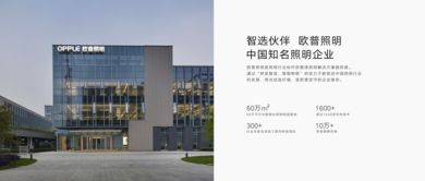 全視角解析 產(chǎn)品價格、參數(shù)、圖片與技術服務的綜合評估